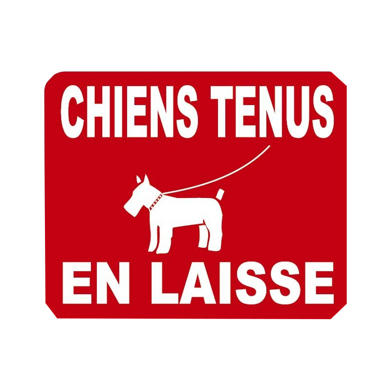 FrankreichMobilErleben Hunde